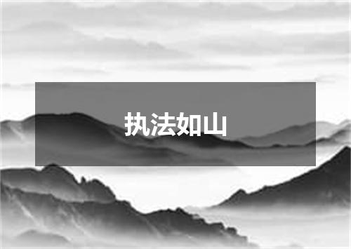 执法如山