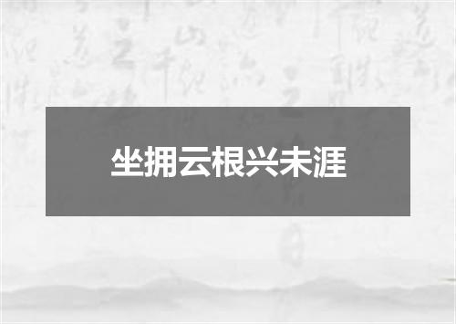 坐拥云根兴未涯