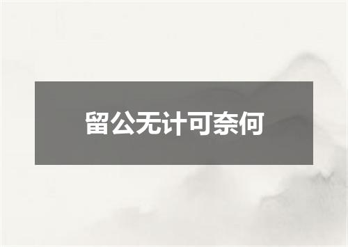 留公无计可奈何