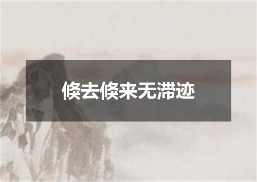 倏去倏来无滞迹