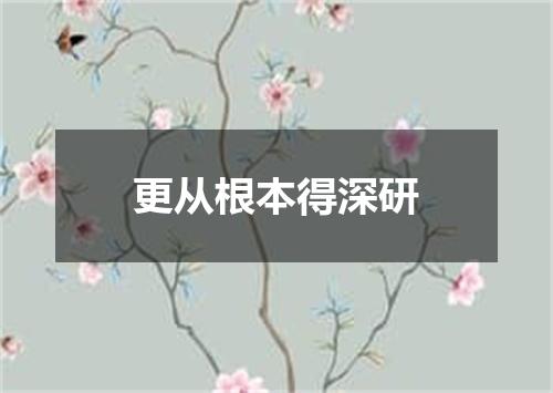 更从根本得深研