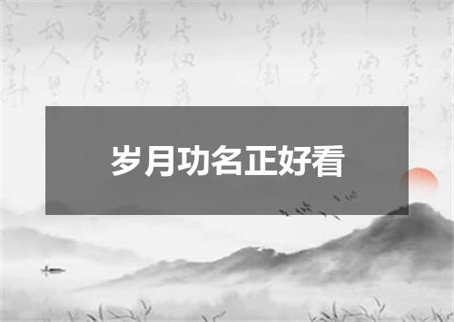 岁月功名正好看