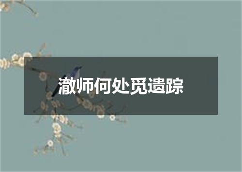 澈师何处觅遗踪