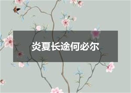 炎夏长途何必尔