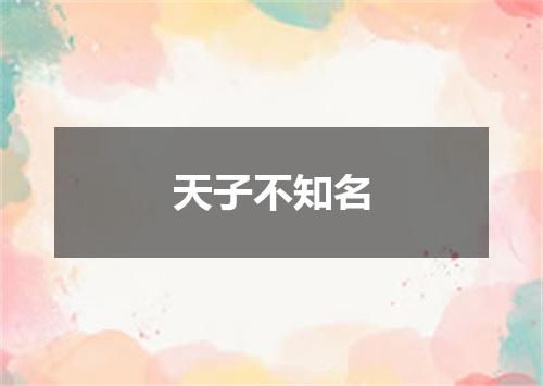 天子不知名