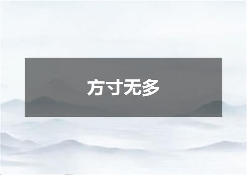 方寸无多