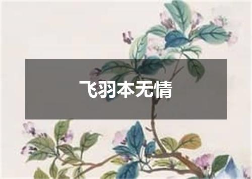 飞羽本无情