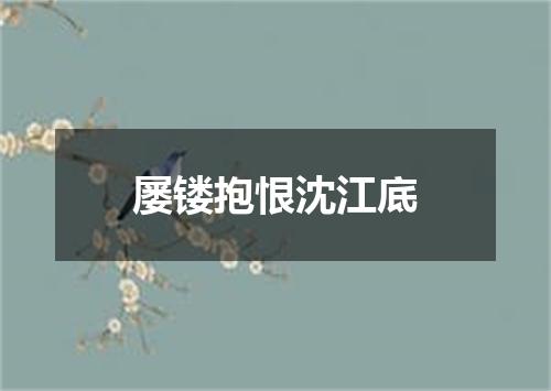 屡镂抱恨沈江底