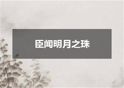 臣闻明月之珠