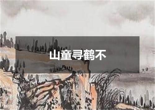 山童寻鹤不