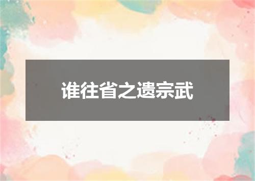 谁往省之遗宗武