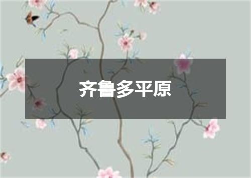 齐鲁多平原