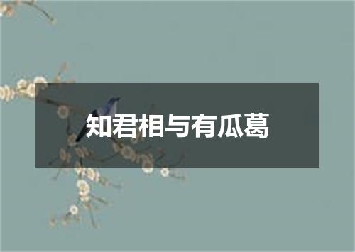 知君相与有瓜葛