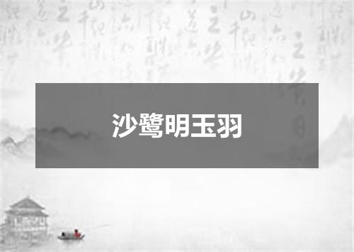 沙鹭明玉羽