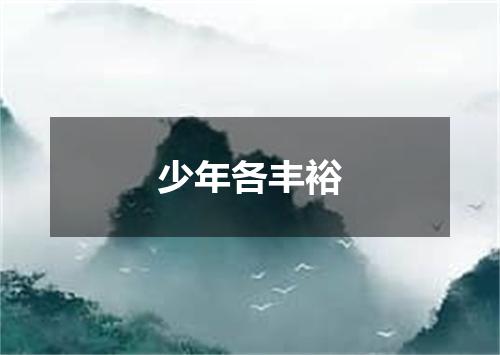 少年各丰裕