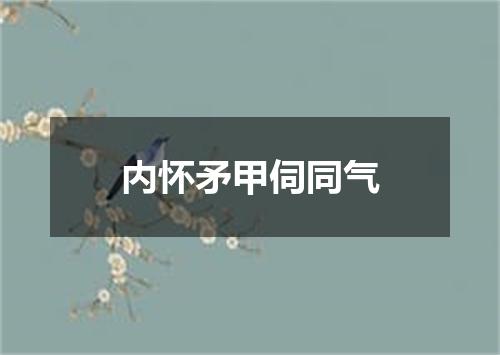 内怀矛甲伺同气