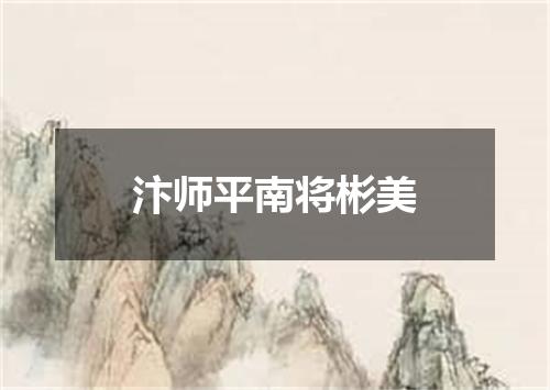 汴师平南将彬美