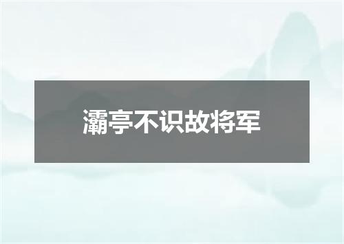 灞亭不识故将军