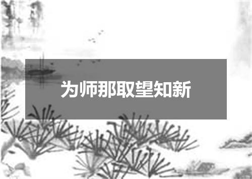 为师那取望知新