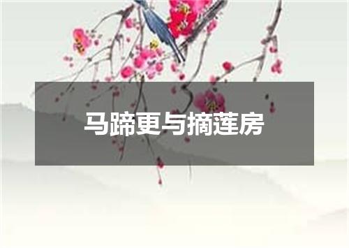 马蹄更与摘莲房