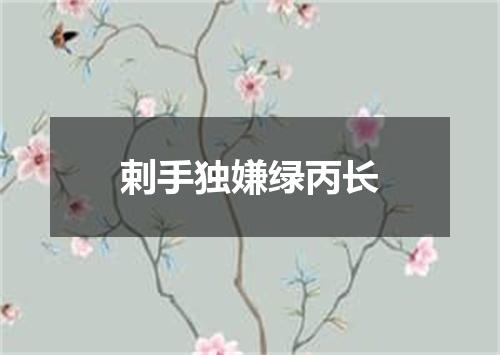 剌手独嫌绿丙长