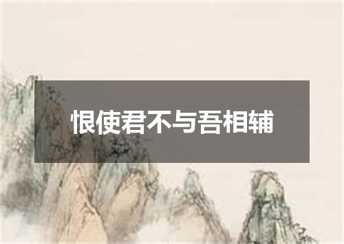 恨使君不与吾相辅