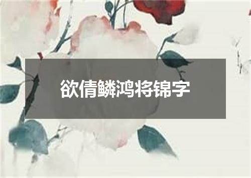 欲倩鳞鸿将锦字