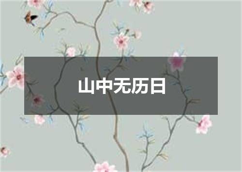 山中无历日