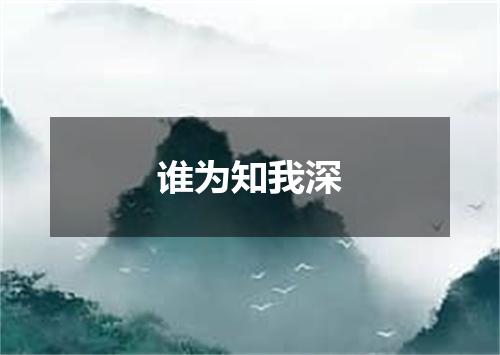 谁为知我深