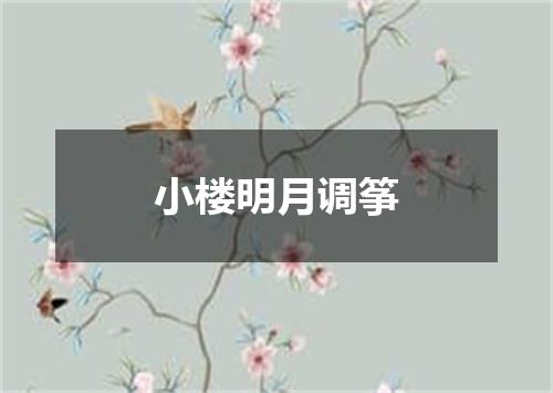 小楼明月调筝