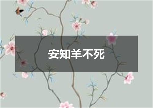 安知羊不死