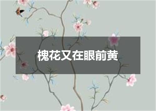 槐花又在眼前黄