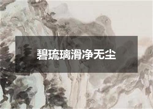 碧琉璃滑净无尘