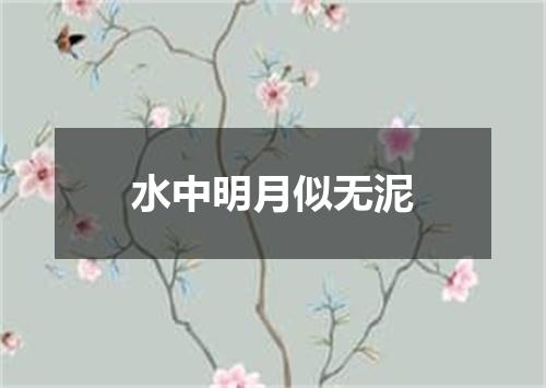 水中明月似无泥