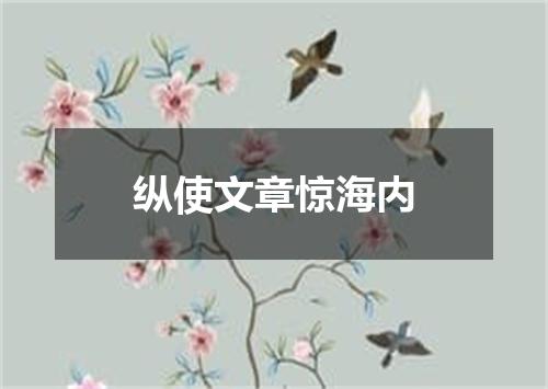 纵使文章惊海内