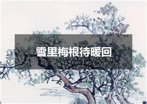 雪里梅根待暖回