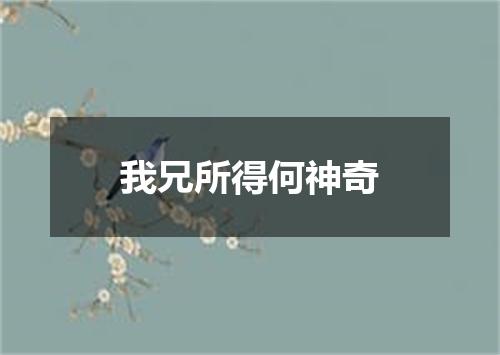 我兄所得何神奇