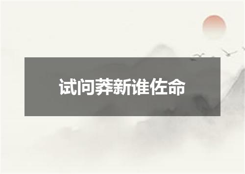 试问莽新谁佐命