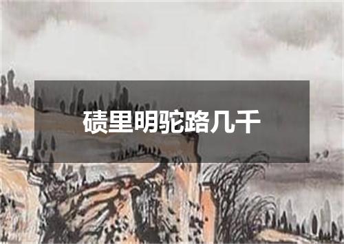 碛里明驼路几千