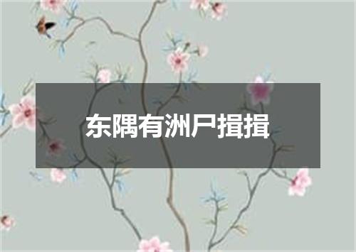 东隅有洲尸揖揖