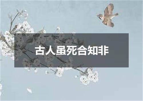 古人虽死合知非