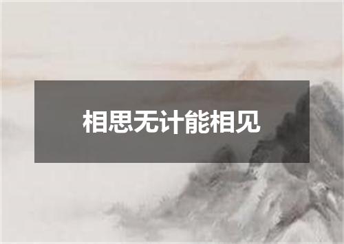 相思无计能相见