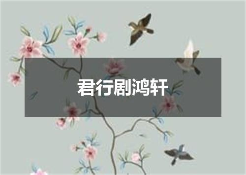 君行剧鸿轩