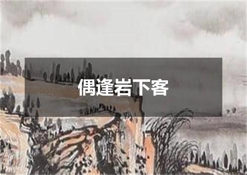 偶逢岩下客