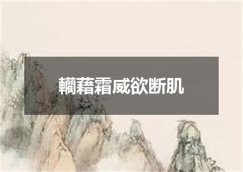 轥藉霜威欲断肌