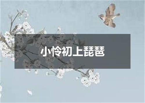 小怜初上琵琶