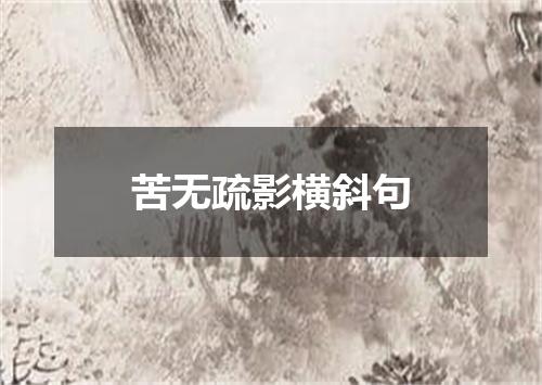 苦无疏影横斜句