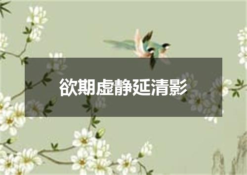 欲期虚静延清影