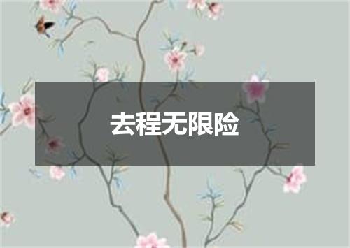 去程无限险