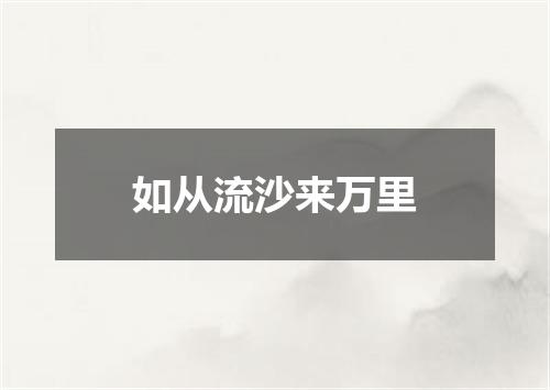 如从流沙来万里